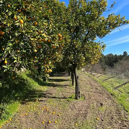 Quinta De Locaia - Refugio Em Pedra 19Ha - Vistas E Total Privacidade Salvador do Monte