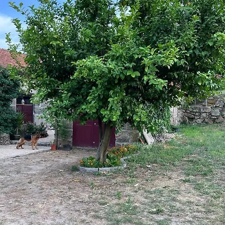 Villa Quinta De Locaia - Refugio Em Pedra 19Ha - Vistas E Total Privacidade Salvador do Monte